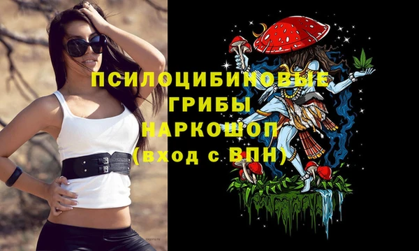 a pvp Вязники