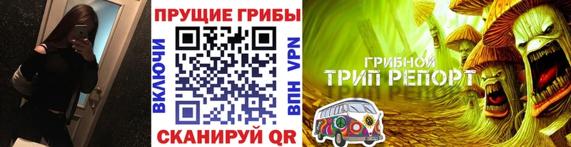 купить наркотик Зеленодольск Псилоцибиновые грибы мухоморы